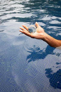 Hand holding leaf floating in swimming pool