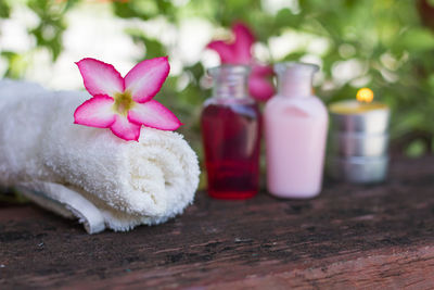 Close-up of pink rose on table