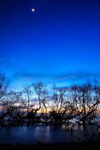 Silhouette bare trees by lake against blue sky at dusk