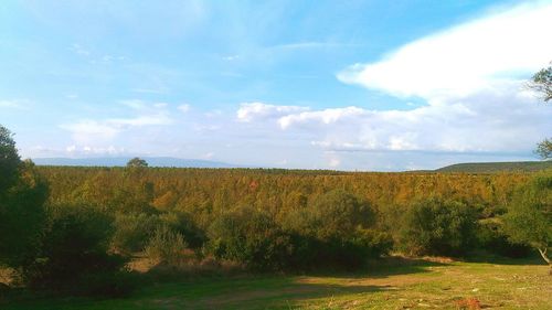 View of fields against cloudy sky