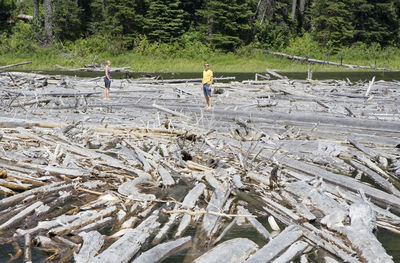 Man and woman standing amidst driftwoods at duffey lake provincial park