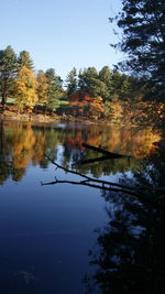 Reflection of trees in lake against clear sky