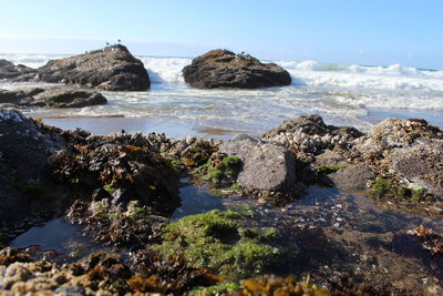 Rocks on beach against sky