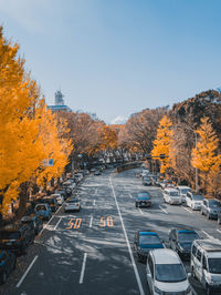 High angle view of road amidst trees against sky during autumn