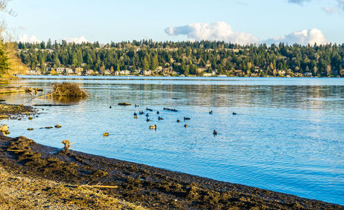 Scenic view of lake against sky