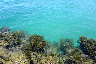 High angle view of sea