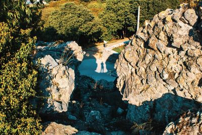 Scenic view of rock formation amidst trees