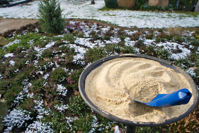 High angle view of food on field