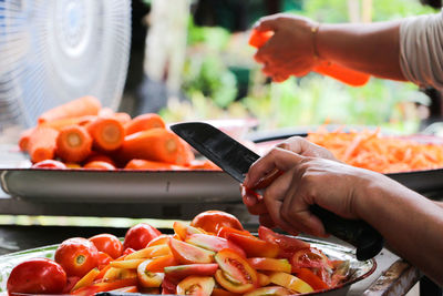 Cropped hands cutting vegetables