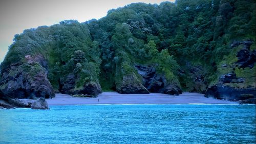 Scenic view of sea by trees against sky