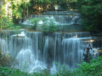 Scenic view of waterfall in forest