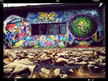 View of multi colored wall