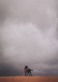 A black dog is standing on the dunes