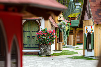 Potted plants outside building