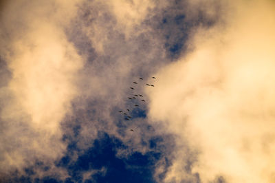 Low angle view of birds flying against cloudy sky