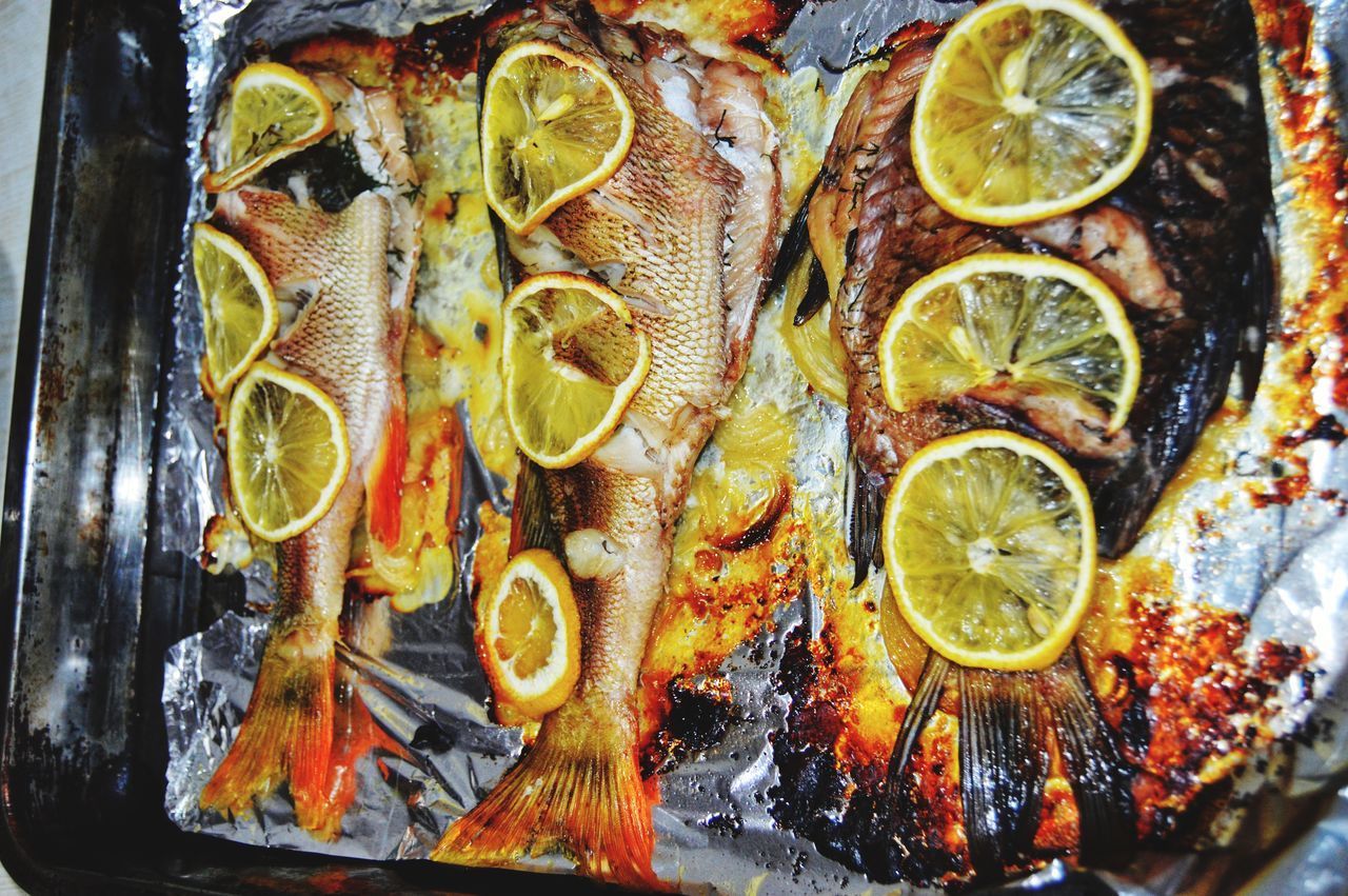 DIRECTLY ABOVE SHOT OF FISH SERVED IN A PLATE