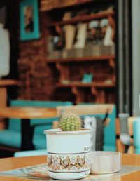 Close-up of potted plant on table at cafe