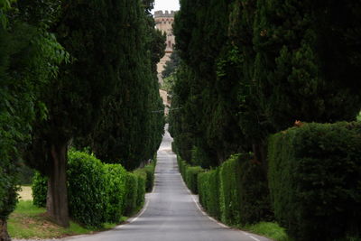 High angle view of chianti region, italy