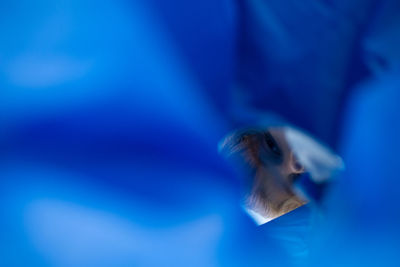 Close-up of a duck