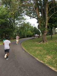 People walking in park