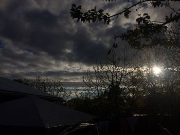 Low angle view of trees against sky