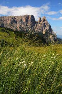 Scenic view of land and mountains against sky