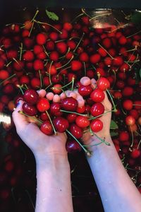 Low angle view of hand holding red berries