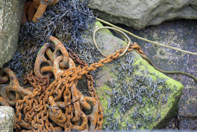 Close-up of fishing net on rock