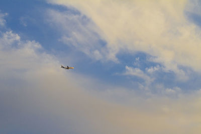 Low angle view of airplane flying in sky