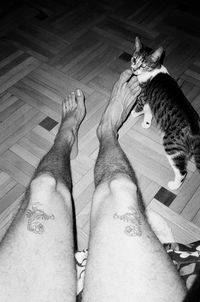 Low section of person with cat on floor