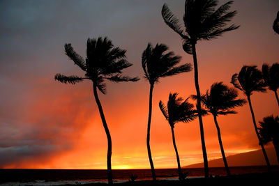 Silhouette palm trees against sky during sunset