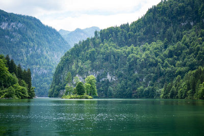 Scenic view of lake amidst trees in forest