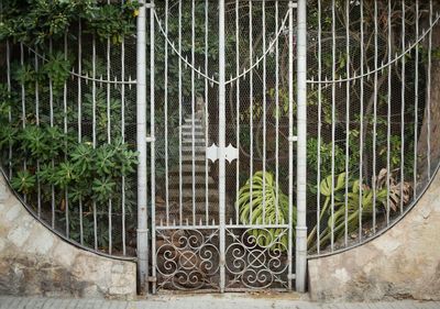 Metal gate against trees