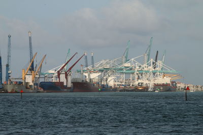 Cranes at harbor against sky