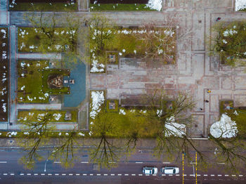 Plants and trees in front of building