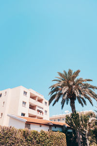 Low angle view of palm trees and buildings against sky