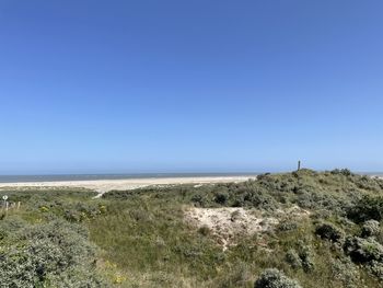 Scenic view of sea against clear blue sky