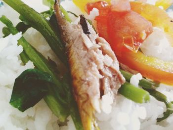 Close-up of food