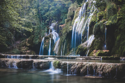 Scenic view of waterfall in forest