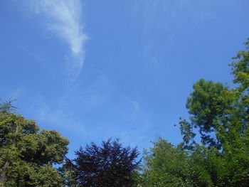 sky