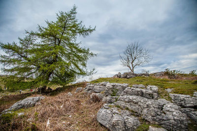 View of rocks on land against sky