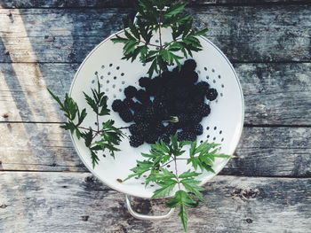 Close-up of blackberries in container on wood