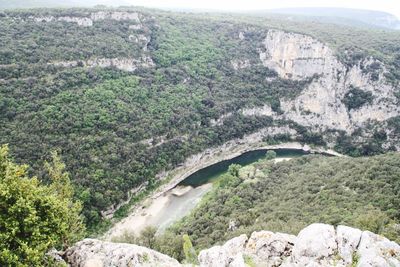 Scenic view of river amidst trees in forest