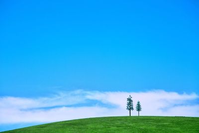 Windmill on field against blue sky