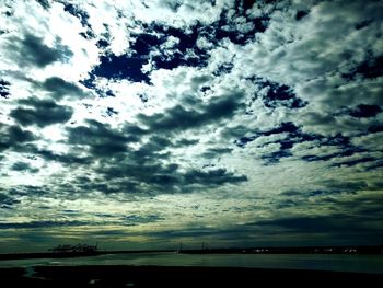 Low angle view of silhouette birds flying over sea against sky
