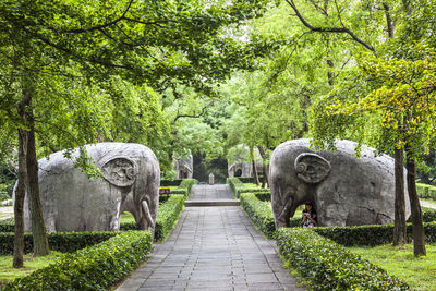 Footpath by elephant statues at ming xiaoling mausoleum