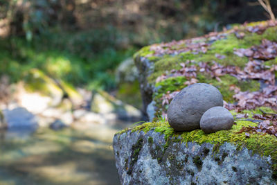 Close-up of stones on rock