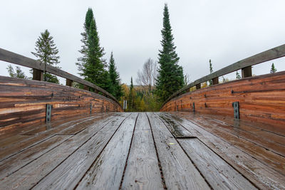 Boardwalk amidst trees against sky