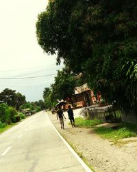 People on road amidst trees against sky