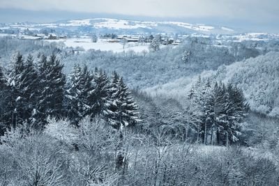 Cold snow forest countryside - aveyron france